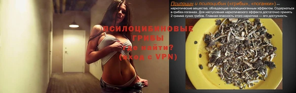 ALPHA PVP Богородицк