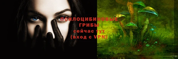 ALPHA PVP Богородицк