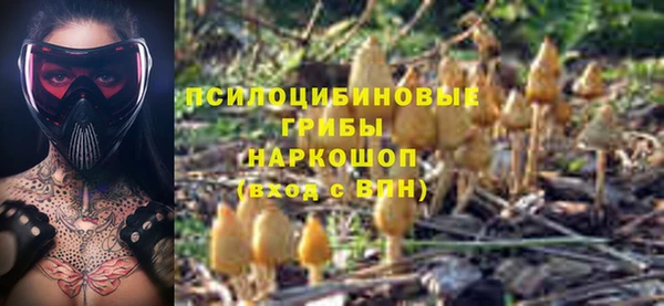 ALPHA PVP Богородицк