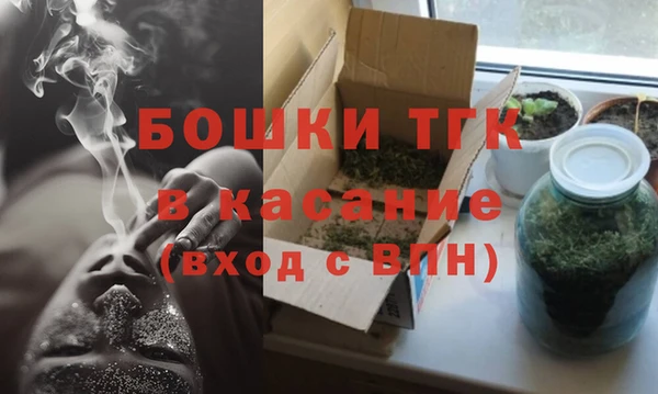 индика Рославль