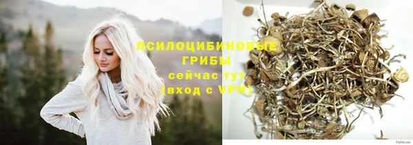 Альфа ПВП Ростов