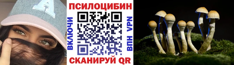 Псилоцибиновые грибы Psilocybine cubensis  Троицк 